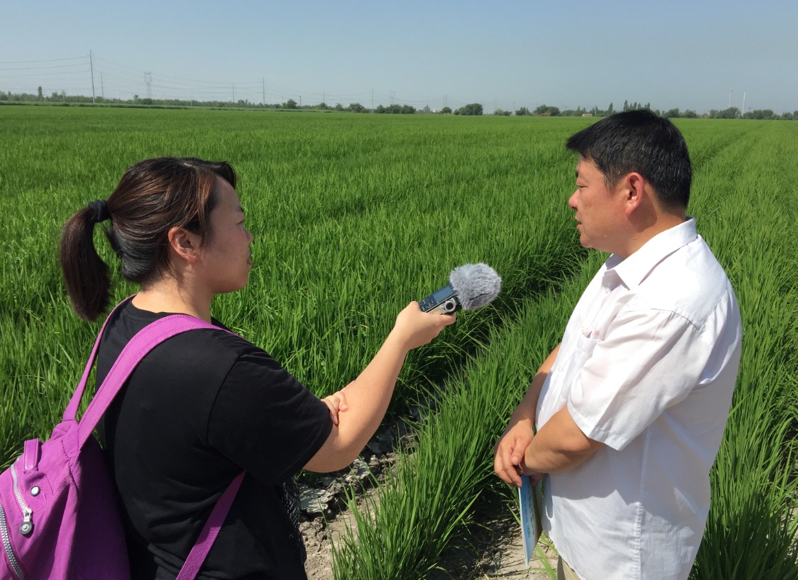 Передовые оросительные технологии и оборудование способствуют развитию сельского хозяйства Синьцзяна